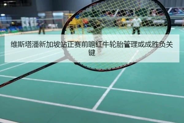 维斯塔潘新加坡站正赛前瞻红牛轮胎管理或成胜负关键